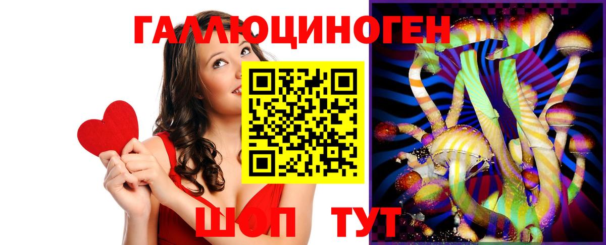 Владимир  Псилоцибиновые грибы Cubensis  Вход с VPN  Галлюциногенные грибы ЛСД 