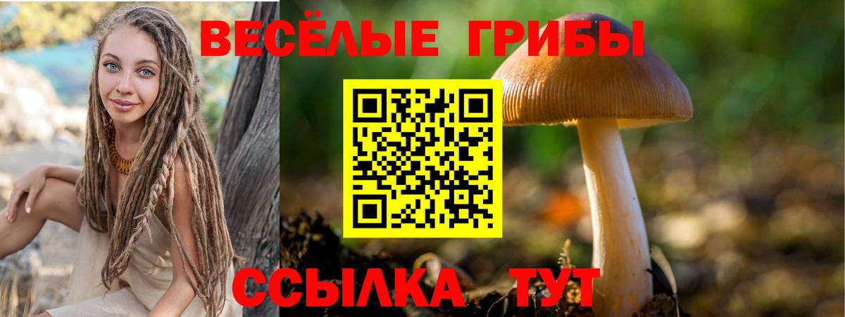 Галлюциногенные грибы Magic Shrooms Владимир